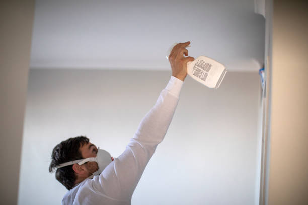 Best Crawl Space Mold Removal  in Riverview, MO