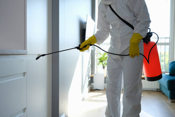 Best Emergency Mold Removal  in Riverview, MO