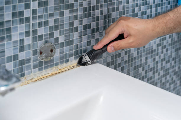 Best Local Mold Removal Service  in Riverview, MO